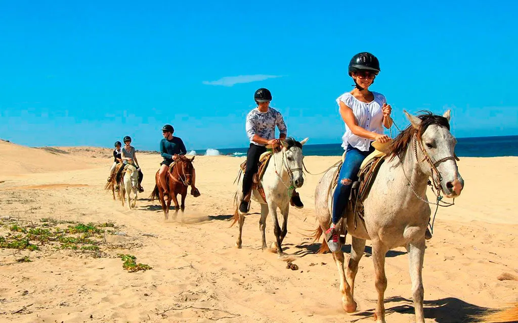 Ruta corta a caballo de 1 hora por la playa de Tarifa