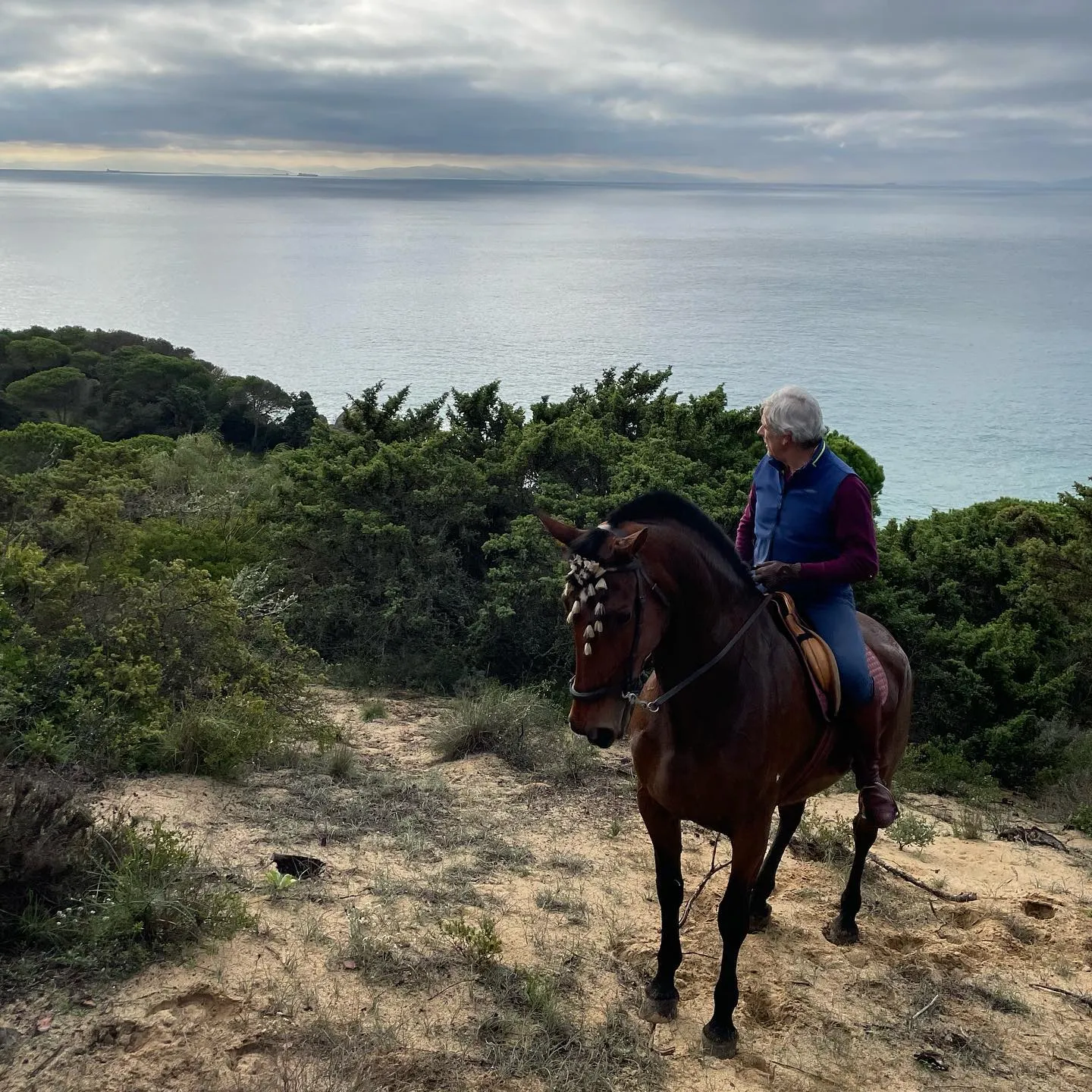 Jinete con caballo andaluz pura raza española en la playa de Tarifa